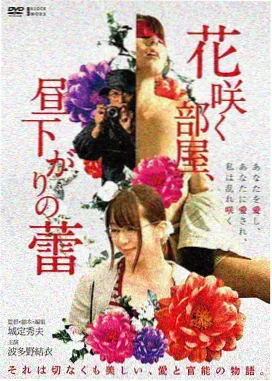 火影忍者疾风传剧场版6火之意志继承者封面